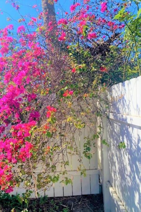 Bright And Beachy 2Bed 1Bath Home - Unit 210 Cocoa Beach Exterior foto